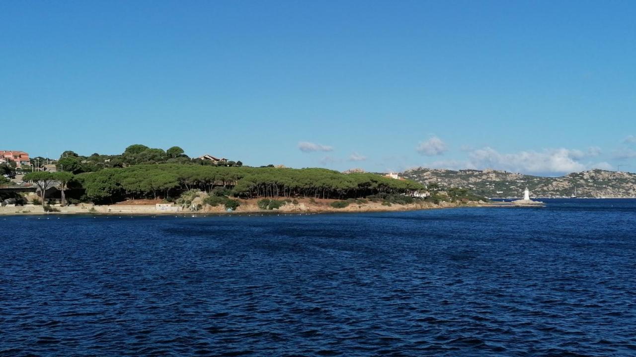 Appartamento incantevole con piscina Palau Esterno foto
